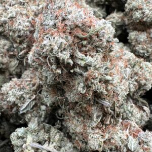 GORILLA AP product image