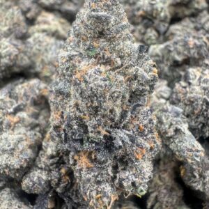 PURPLE ZOTS product image