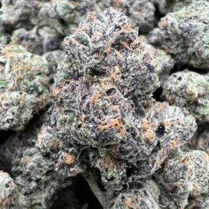 BLUE BENJI product image