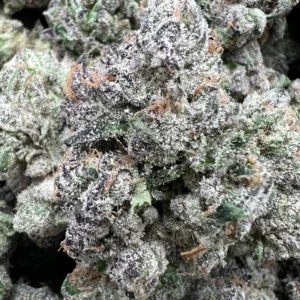 BLUEFACE RUNTZ product image