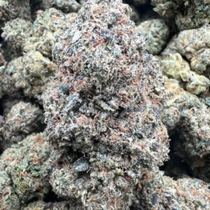 G GELATO product image