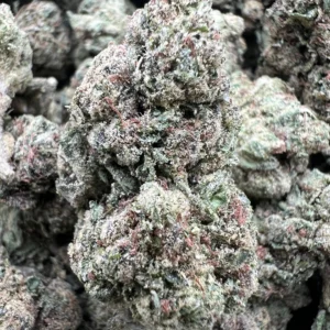 GELATO 33 product image