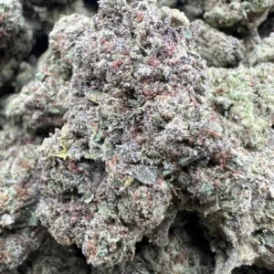 GELATO PIE product image
