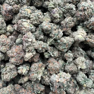 JR RUNTZ X GELATO SMALLS product image