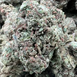 MAUI RUNTZ product image