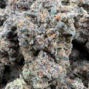 PURPLE YAGA product image