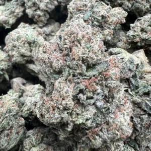 ROZAY GELATO product image